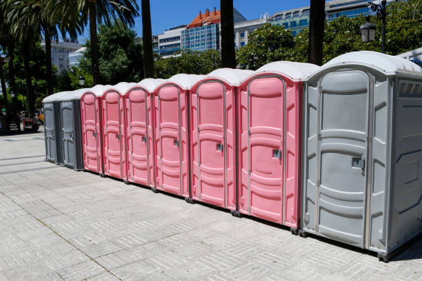 Types of Portable Toilets We Offer in Cloverdale, VA